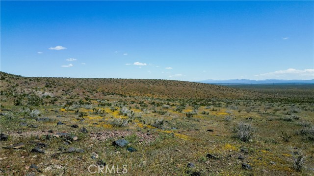 Front Image Thumbnail for CRND25245705