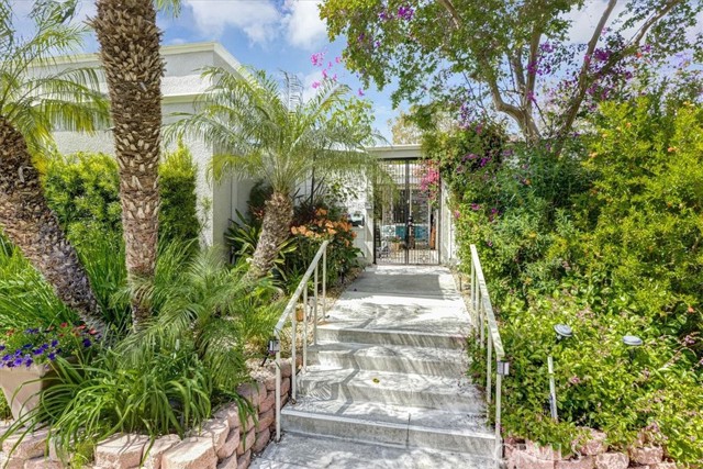 Front Image Thumbnail for CROC26061730