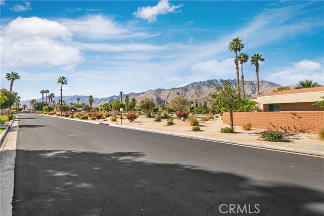 Image 16 for 3072   Sunflower CIR