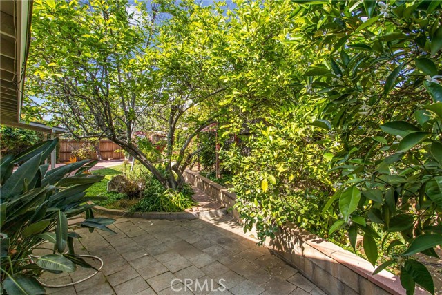 Detail Gallery Image 28 of 29 For 709 Bermuda, Redlands,  CA 92374 - 3 Beds | 1 Baths