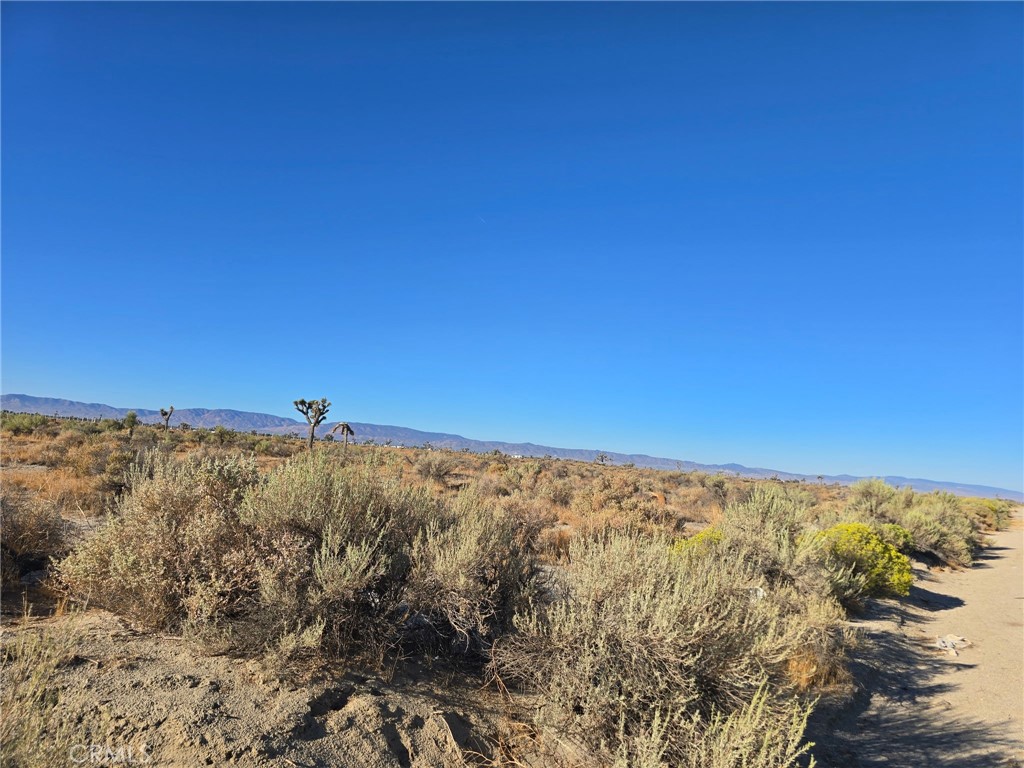 MLS #SB25231198 image #2