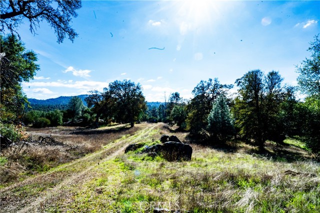 Detail Gallery Image 12 of 22 For 4658 Little Bear, Mariposa,  CA 95338 - – Beds | – Baths