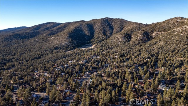 Detail Gallery Image 46 of 49 For 1109 Mount Shasta Rd, Big Bear City,  CA 92314 - 4 Beds | 2/1 Baths