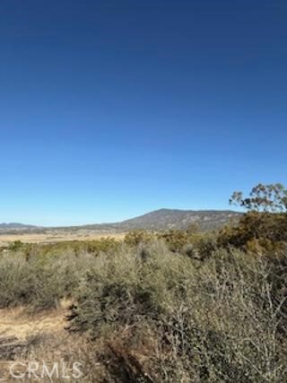 MLS #SW25227735 image #8