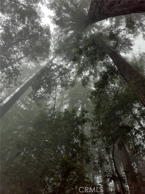 Detail Gallery Image 46 of 58 For 38160 Ocean Ridge Dr, Gualala,  CA 95445 - – Beds | – Baths