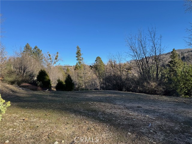 Detail Gallery Image 11 of 12 For 29373 Pine, Cedar Glen,  CA 92321 - – Beds | – Baths