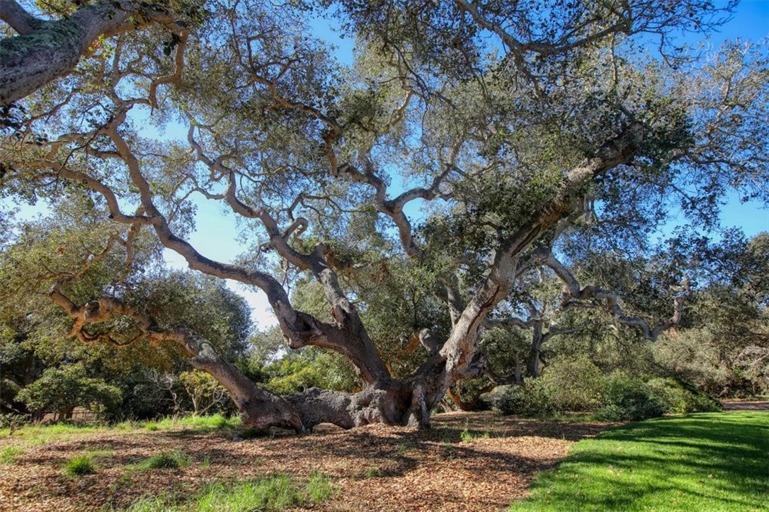 Detail Gallery Image 62 of 66 For 2355 & 2325 Bonnie Jean Ln, Arroyo Grande,  CA 93420 - 6 Beds | 5 Baths