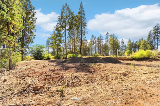 Detail Gallery Image 6 of 17 For 6435 Ventura Dr, Magalia,  CA 95954 - – Beds | – Baths