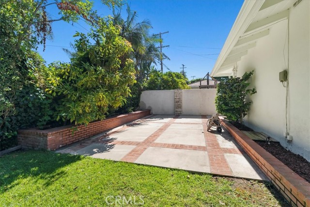 Back yard