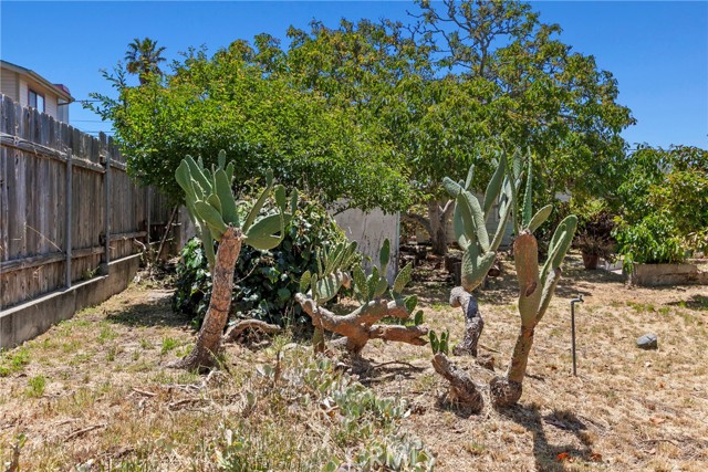 919 Seabright Avenue, Grover Beach CA: https://media.crmls.org/medias/8354fd7d-8a12-4c49-86cb-e572b0334991.jpg