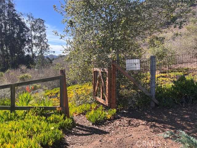 Trail Head 3 doors down goes to Black Hill and other trails