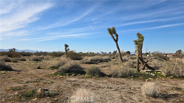 Detail Gallery Image 14 of 21 For 0 115th St East S/O Ave S, Littlerock,  CA 93543 - – Beds | – Baths