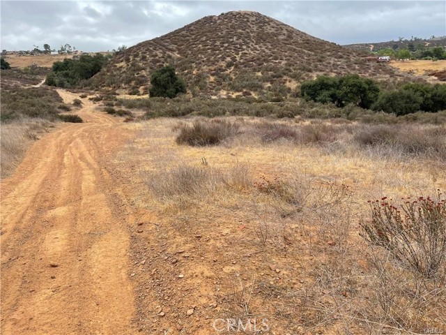 0 Locust, Menifee, California 92584, ,Land,For Sale,0 Locust,CRSW24005141