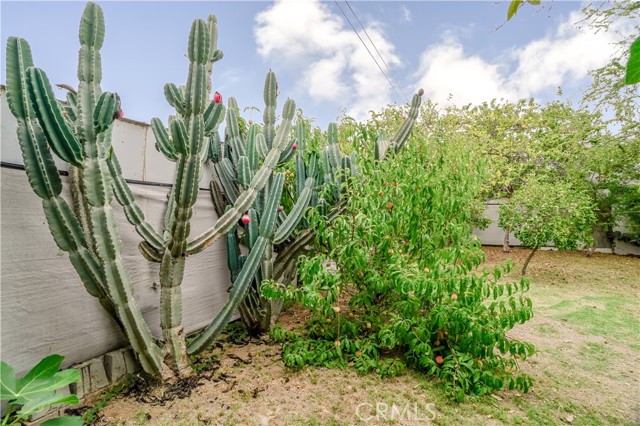 Detail Gallery Image 27 of 50 For 427 N Hicks Ave, East Los Angeles,  CA 90063 - 3 Beds | 2 Baths