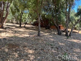 7872 Soda Bay Road, Kelseyville CA: https://media.crmls.org/medias/835e3cac-280f-4dd1-8e0b-bd96cc7aa652.jpg