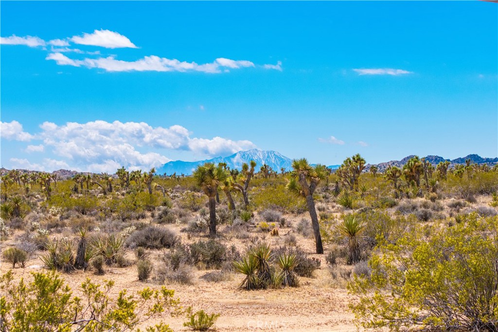 https://media.crmls.org/medias/835fee52-0b8e-494a-b5c9-6b503774a48a.jpg?preset=X-Large