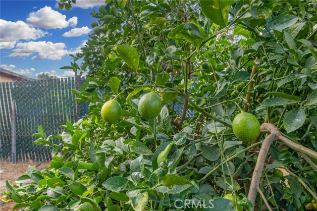 Detail Gallery Image 16 of 19 For 18585 14th, Bloomington,  CA 92316 - 2 Beds | 1 Baths