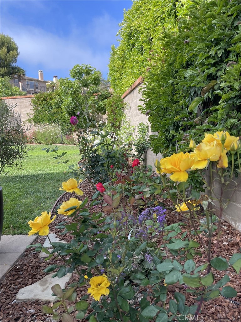 https://media.crmls.org/medias/8361b7a8-c5f5-4269-accc-92d54bcb1618.jpg?preset=X-Large