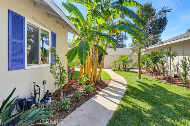 17811 Ludlow Street photo 29