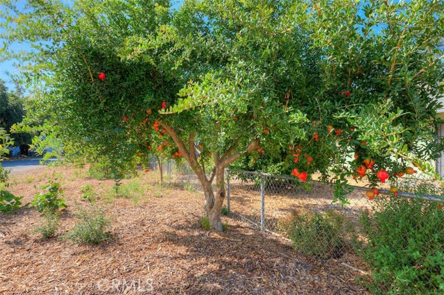 9493 Yokum Street, Chico CA: https://media.crmls.org/medias/83685da8-30ae-4cfc-b1b4-5bde6453a321.jpg