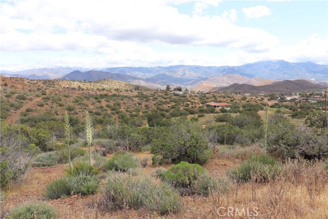 0 Vac/Cor Mountain Spring/Carrol, Acton, California 93510, ,Land,For Sale,0 Vac/Cor Mountain Spring/Carrol,CRSR23077660