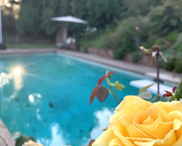 Detail Gallery Image 29 of 59 For 26261 Veva Way, Calabasas,  CA 91302 - 4 Beds | 2 Baths