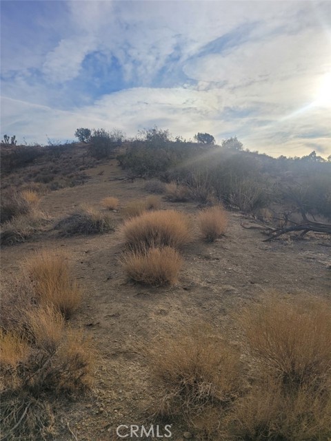 0 Vac/ca Aqueduct/pearblossom, Palmdale, CA, 93550 0 Vac/ca Aqueduct/pearblossom, Palmdale, CA, 93550