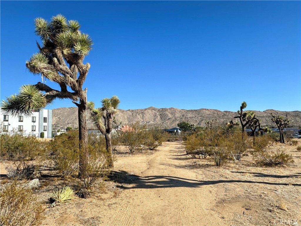 MLS #JT25176683 image #5