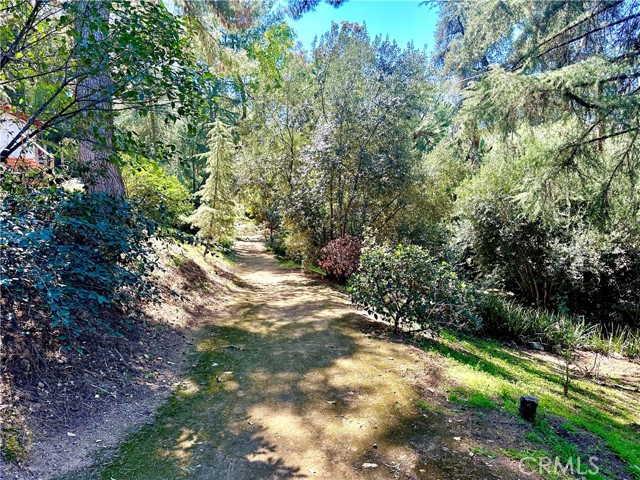 Detail Gallery Image 67 of 69 For 1804 Valle Vista, Redlands,  CA 92373 - 6 Beds | 4/1 Baths