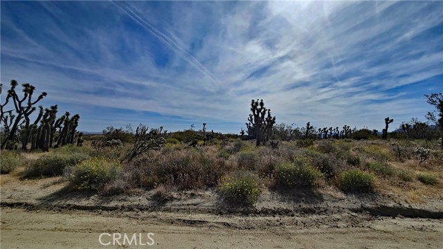 Detail Gallery Image 3 of 49 For 0 103rd St East Vicinity W14, –,  CA 93543 - – Beds | – Baths