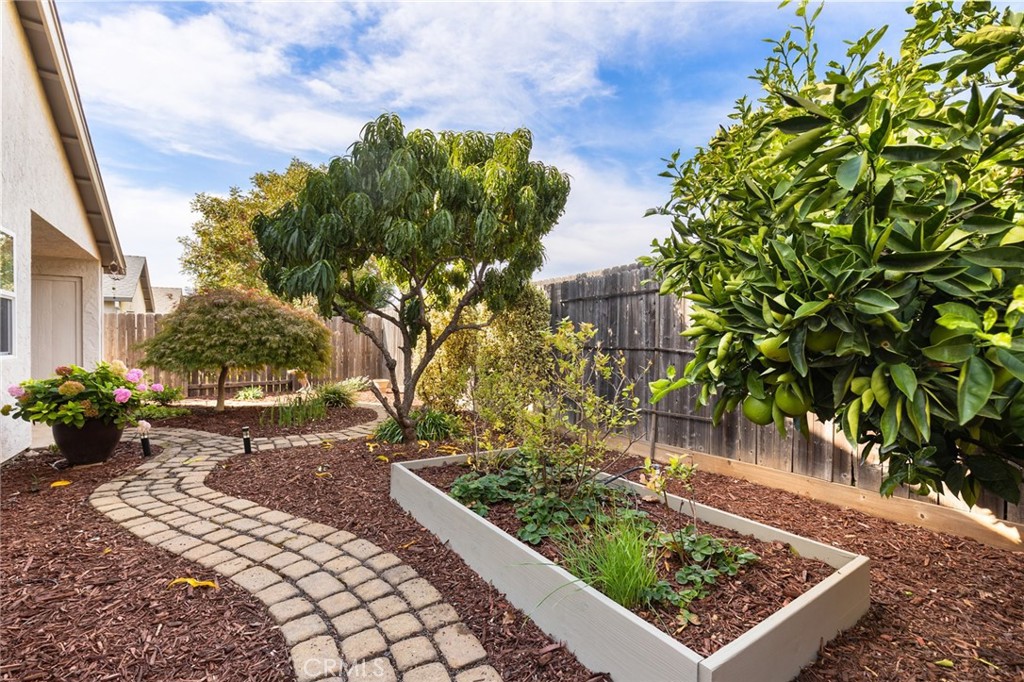 MLS #SN25247436 image #29