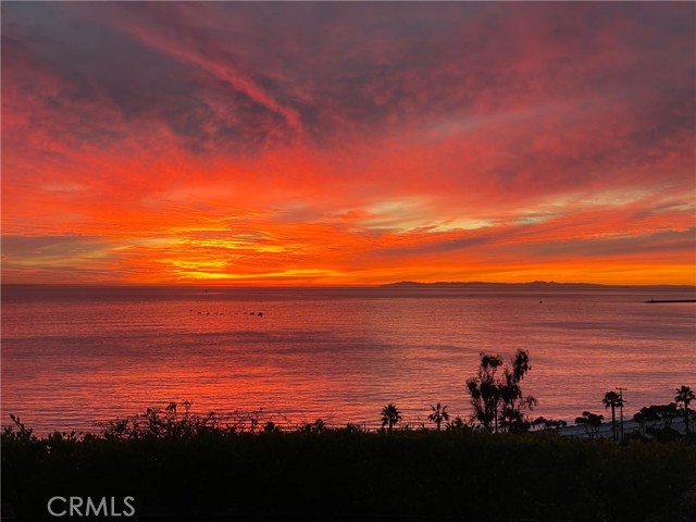 MLS# OC24084587