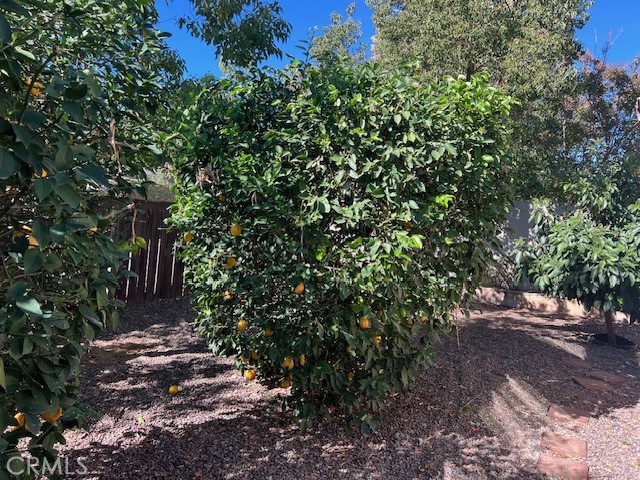 MLS #IG25248862 image #29