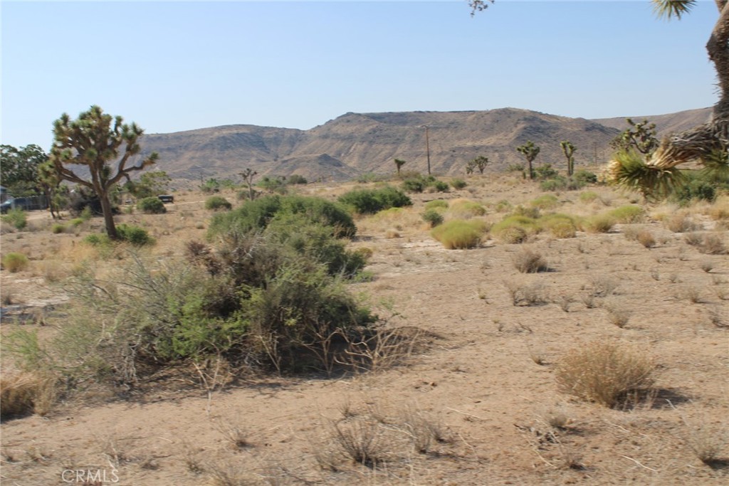 MLS #CV25150711 image #5