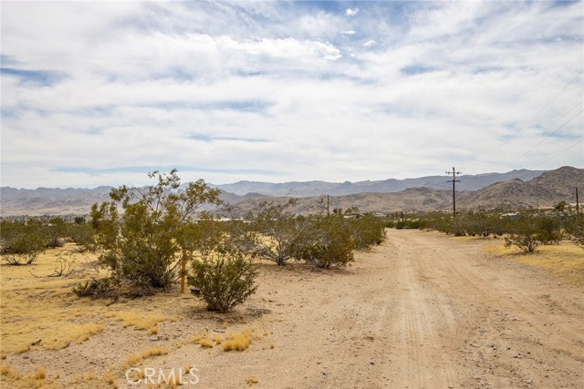 4225 Benji Avenue, Joshua Tree, California 92252, ,Land,For Sale,4225 Benji Avenue,CRJT23182225