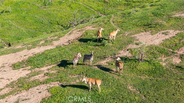 Detail Gallery Image 54 of 59 For 39250 Ortega Highway, San Juan Capistrano,  CA 92562 - 16 Beds | 13/3 Baths