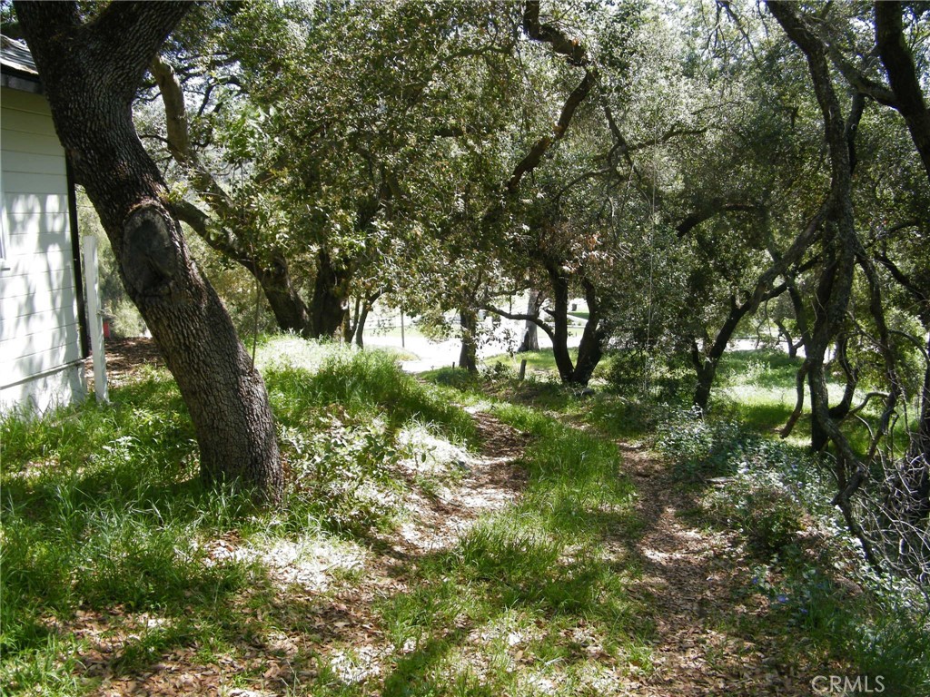 https://media.crmls.org/medias/83984564-4f34-43fc-85ef-7d51aa2b2c04.jpg?preset=X-Large