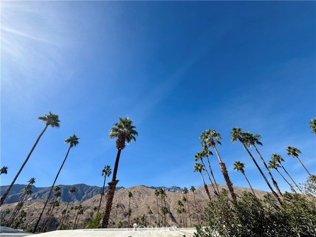 Detail Gallery Image 34 of 37 For 1961 S Camino Real #2,  Palm Springs,  CA 92264 - 2 Beds | 2 Baths