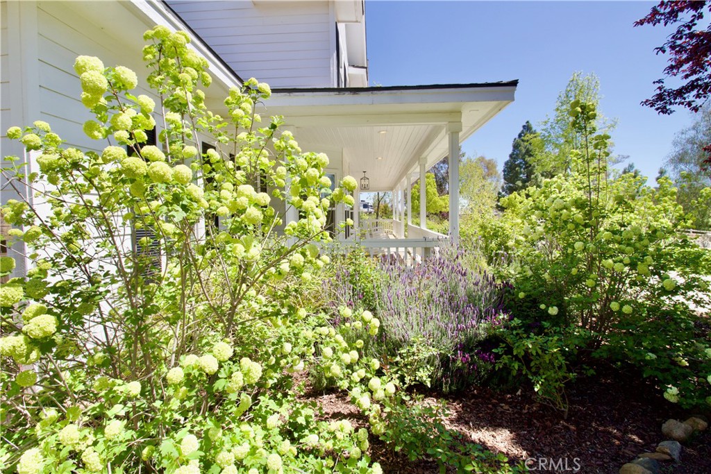 MLS #OC25090565 image #46