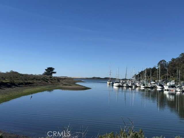 https://media.crmls.org/medias/83b4496a-d7a8-4495-aba2-e8e8aaedab67.jpg?preset=X-Large