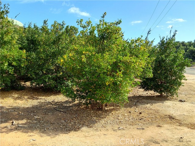 Detail Gallery Image 2 of 38 For 3 via Vaquero, Temecula,  CA 92590 - – Beds | – Baths