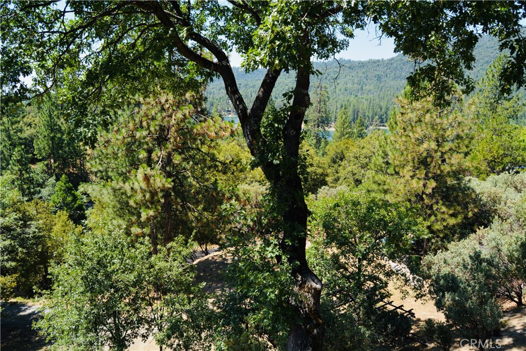 https://media.crmls.org/medias/83b7f614-e8df-4846-a343-b5edf3ae15f7.jpg?preset=X-Large