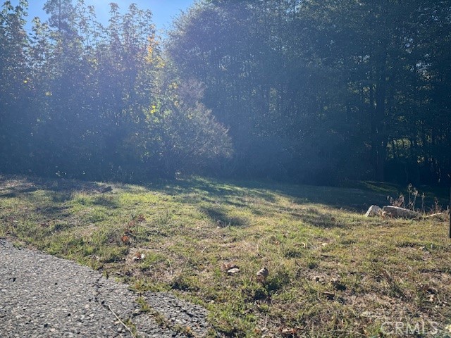 Detail Gallery Image 2 of 7 For 430 Alder Ln, Cedar Glen,  CA 92321 - – Beds | – Baths