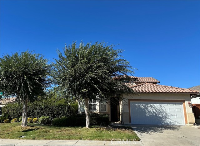 Professional photos coming soon!