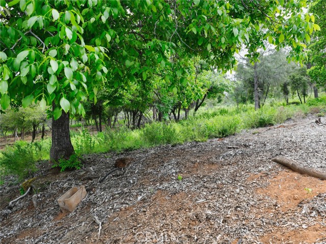 Detail Gallery Image 11 of 11 For 3218 Skyline Dr, Kelseyville,  CA 95451 - – Beds | – Baths