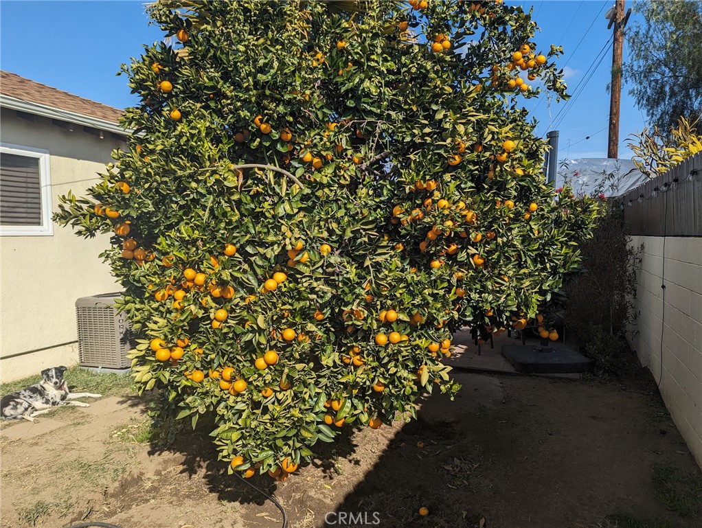https://media.crmls.org/medias/83c56a24-8426-4d94-9b9d-13425786f8ce.jpg?preset=X-Large