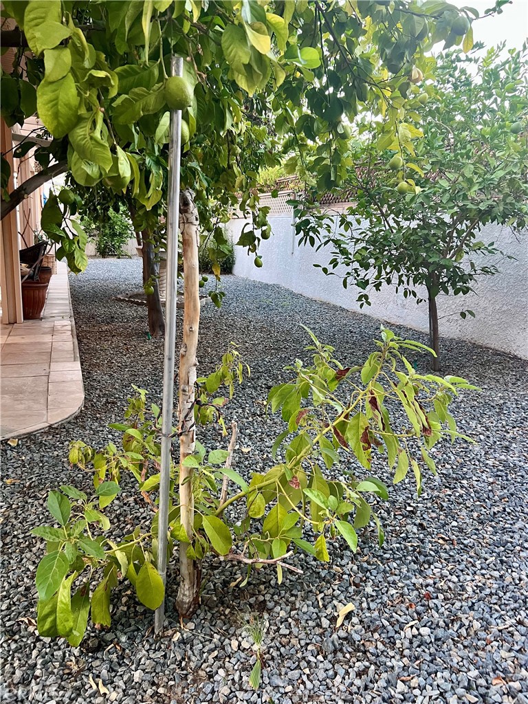 MLS #SB25246329 image #38