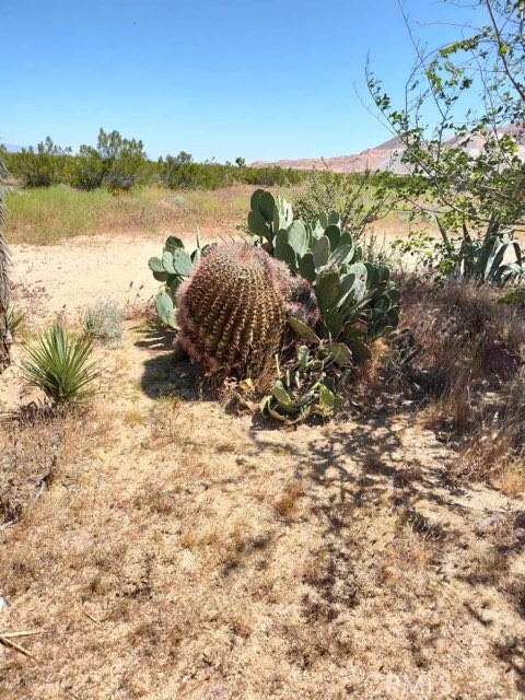 Detail Gallery Image 4 of 10 For 10376 55th St, Mojave,  CA 93501 - – Beds | – Baths