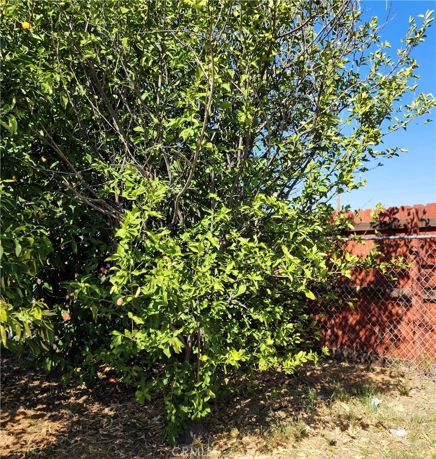 https://media.crmls.org/medias/83d78c26-94f4-4af2-a6d9-68f5f3d84d2d.jpg?preset=X-Large
