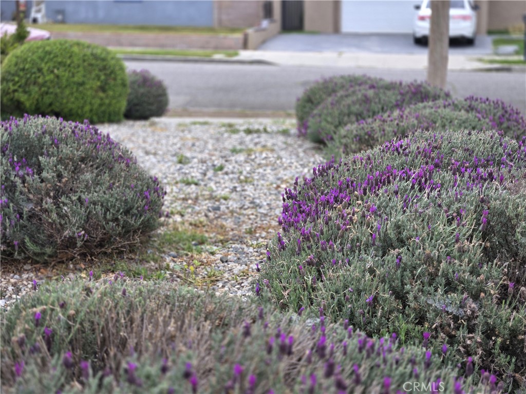 MLS #SR25098964 img 16